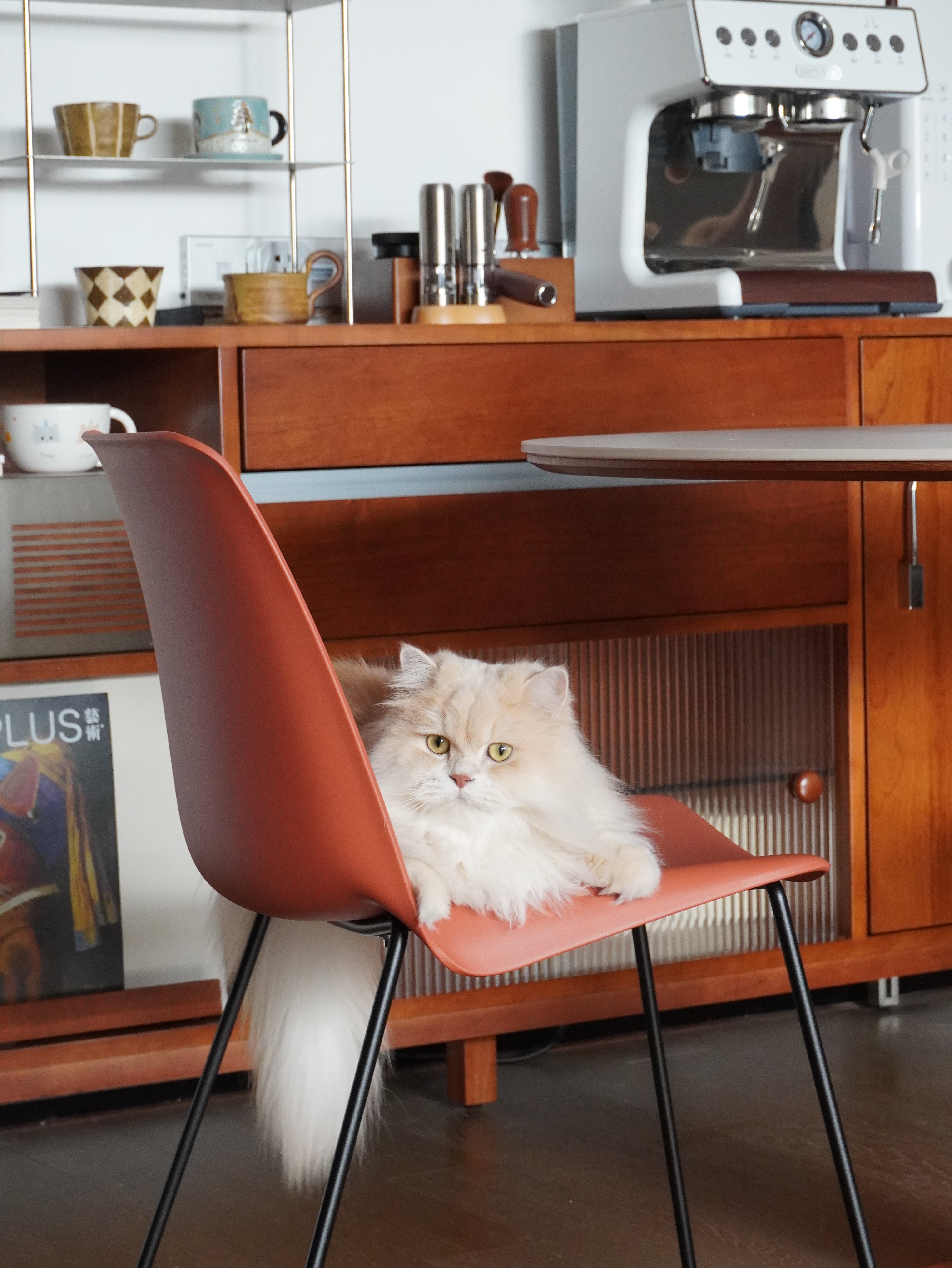 Arcadia Modern Plastic Dining Chair with Metal Legs – Red, Set of 2