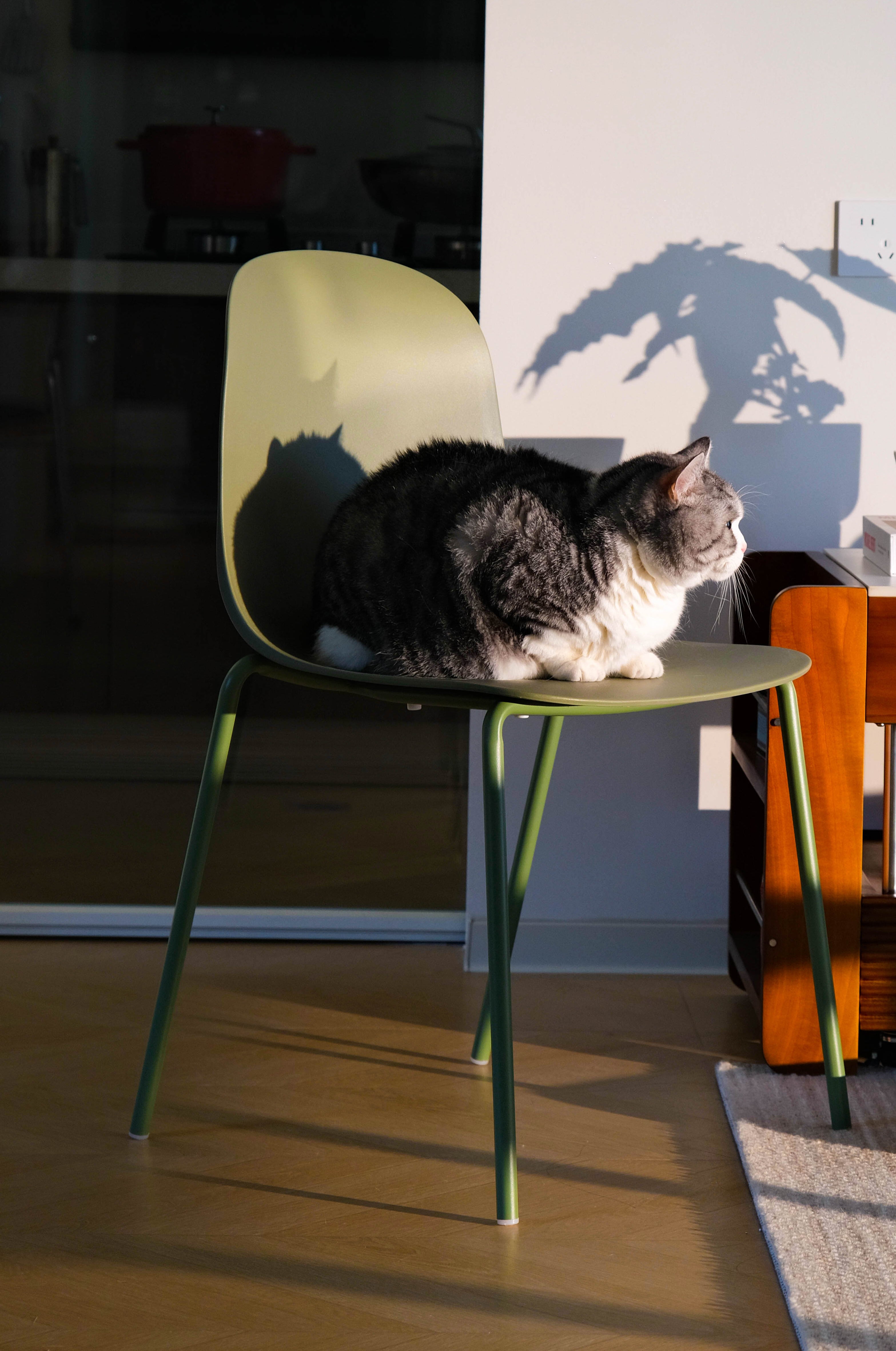 Wilshire Soft Curve Dining Chair - Sage Green, Set of 4